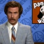 anchorman-pandawatch_528_poster-300x158