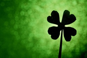 four leaf clover