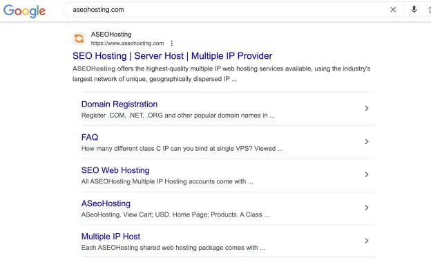 Google Snippet Example
