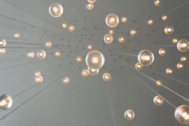 Bulbs hanged from ceiling