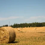 Farm Field