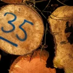 Wood 35 written