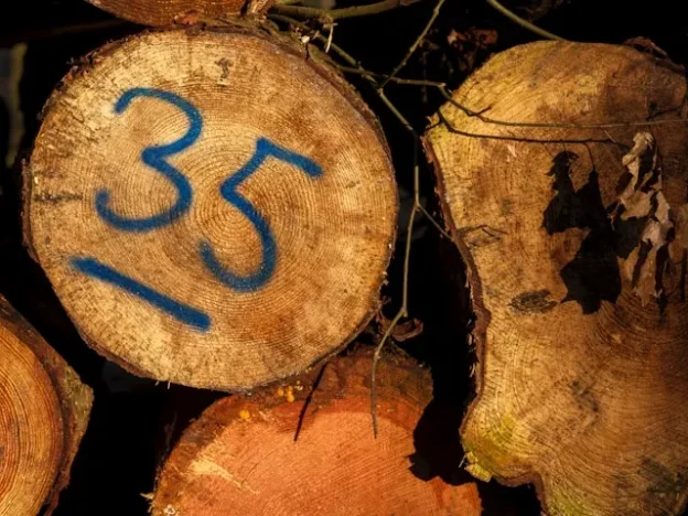Wood 35 written