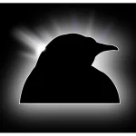 Penguin Shade