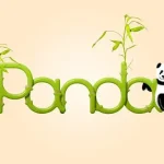 Google Panda 2.5 Update