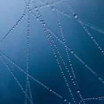 Water drop lines
