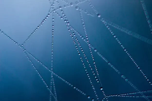 Water drop lines