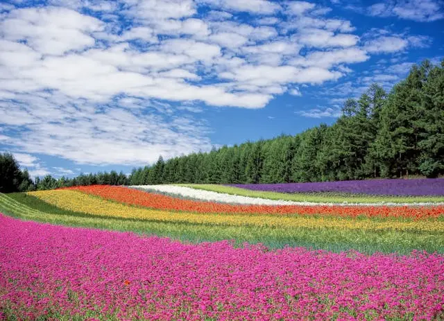 SEO, Content Marketing, and Social Media: The Best Of May 2013